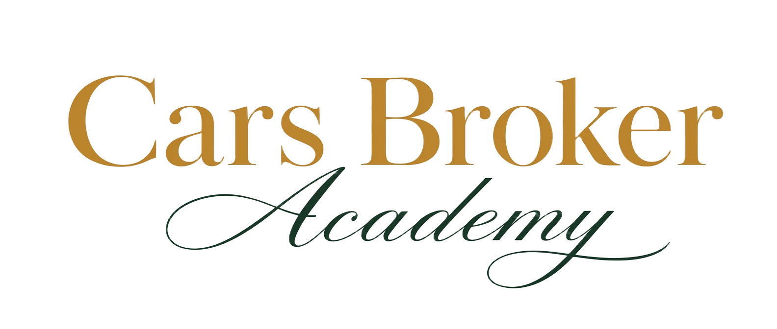 Cars Broker Academy